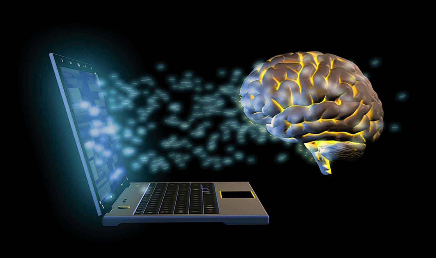 A Brain Connected to a Computer.