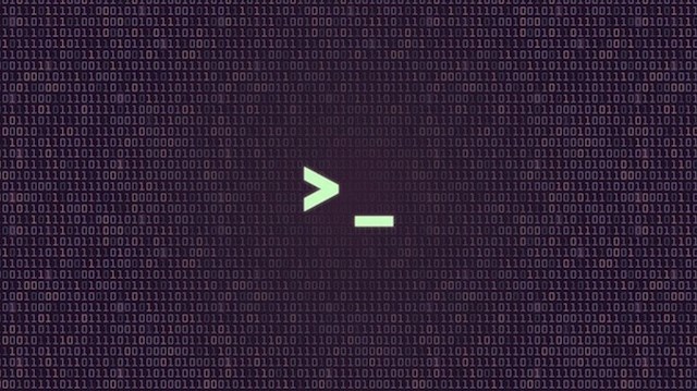 A shell CMD line.